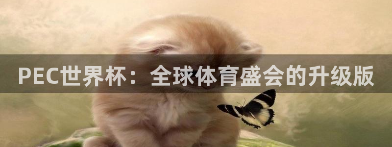 2026世界杯亞洲區(qū)預(yù)選賽：PEC世界杯：全球體育盛會的升級版