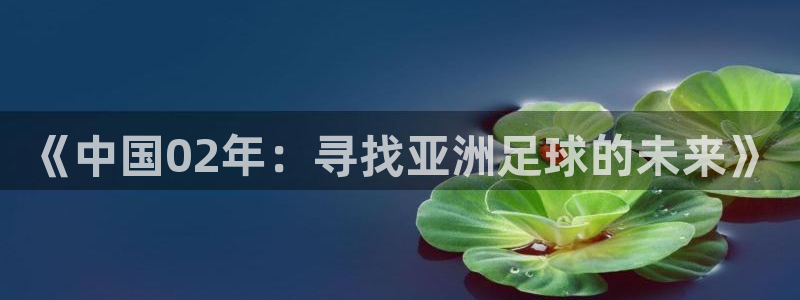 世界杯2026賽制:《中國02年:尋找亞洲足球的未來》