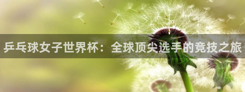 歐洲區(qū)世界杯預(yù)選賽:乒乓球女子世界杯:全球頂尖選手的競(jìng)技之旅