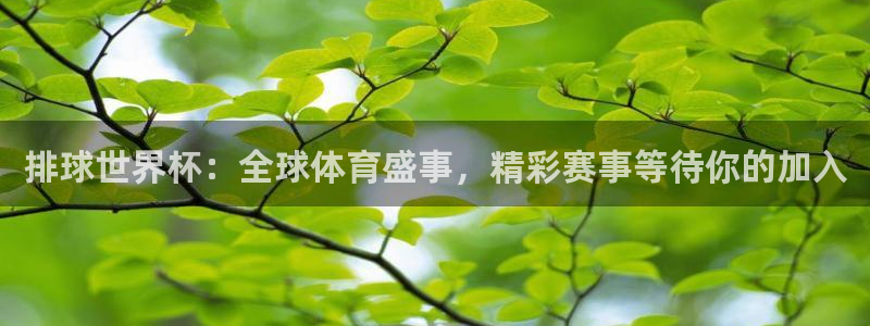 2026年男足世界杯:排球世界杯:全球體育盛事,精彩賽事等待你的加入